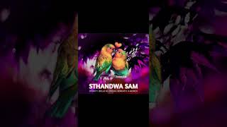 Download lagu Sthandwa sami 😇🥰😍 mp3 Download lagu Sthandwa sami 😇🥰😍 mp3