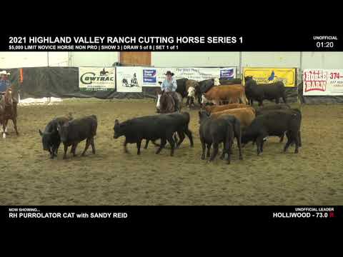 $5,000 Limit Novice Horse Non Pro - Show 3 - 2021 Highland Valley Ranch Cutting Horse Series 1