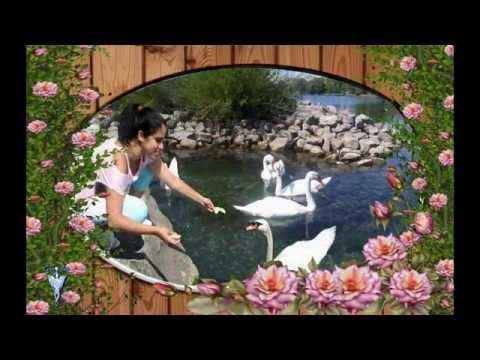 FORMULA V - El Campo Alegre (1969)