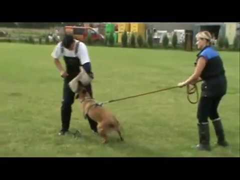 Vigie de Alphaville Bohemia -protection - 8 months