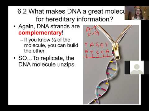 General Biology Chapter 6: DNA part 1