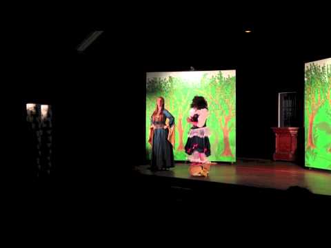 Robin Hood pantomime preview