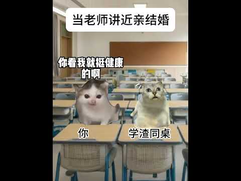 当生物老师讲近亲结婚 #猫meme #cat #迷恋 #萌宠 #funny #貓 #pets #萌寵 #cute #治癒小貓 #猫meme小剧场