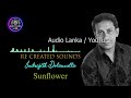 Indrajith Dolamulla Bass Boosterd Song