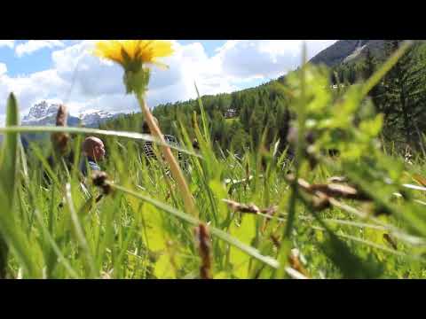 video frame placeholder