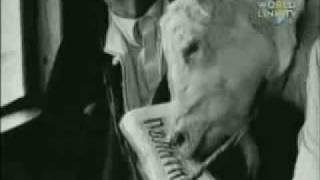 Emir Kusturica &amp; The No Smoking Orchestra - Unza Unza Time