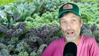 A Fall Brassica Breakdown + Can I Use My Rinse Water to Irrigate