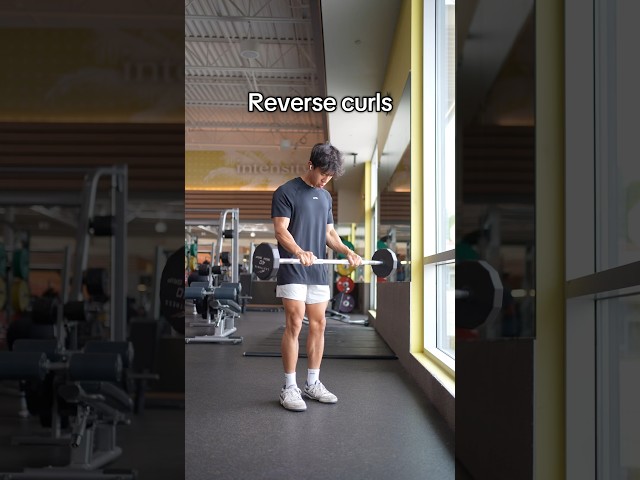 Barbell Reverse Wrist Curl video thumbnail