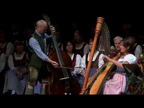 Tannkoppnmusi - Fürs Buali