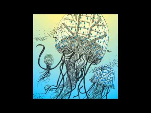 Daniel Wang-Nytk (1998)