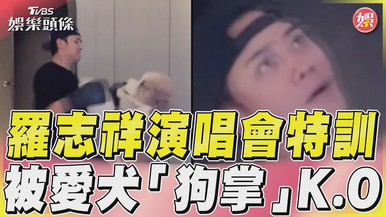 影音／羅志祥演唱會特訓　被愛犬「狗掌」K.O