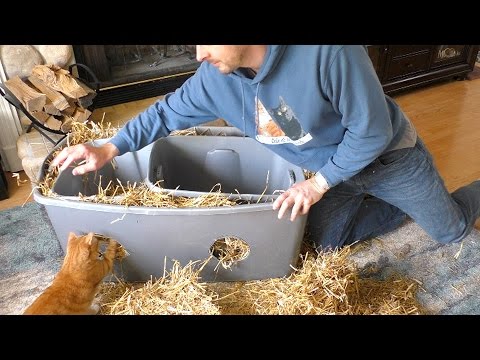 DIY Outdoor Cat Shelter - Cat Man Chris