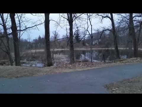 Peepers Pond, Lexington, Massachusetts