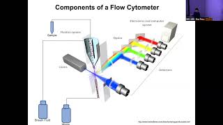 Introduction to Flow Cytometry - Fan Zhang