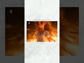 Undipovachuga Ilaa ️‍ Tanvibeats Bunnyvox Undipovachugaila