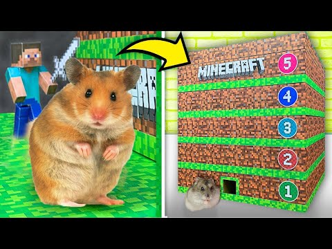Hamsters in a 5 - Level Minecraft Maze | Hamster Maze Race