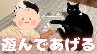 同い年の赤ちゃんに優しくすることを覚えた黒猫【保護猫/黒猫&シャム猫/シャムミックス&ノルウェージャンフォレストキャット】 #cat #japanesecat #保護猫