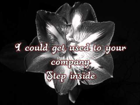 Amaryllis - Shinedown (Lyrics)