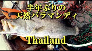Thailand 　天然バラマンディ