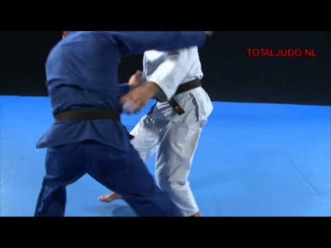 HUIZINGA - TOTAL JUDO (Nederlands)