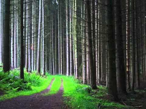 PAUL NAZCA - "Verdure" - Original mix