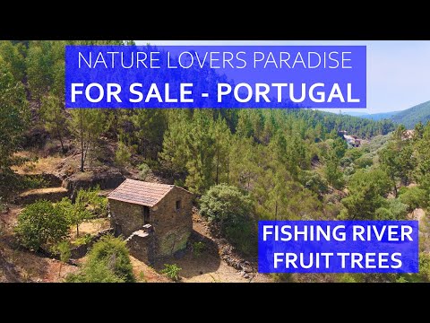 STONE MOUNTAIN COTTAGE WITH SWIMMING RIVER - BARGAIN CENTRAL PORTUGAL REAL ESTATE