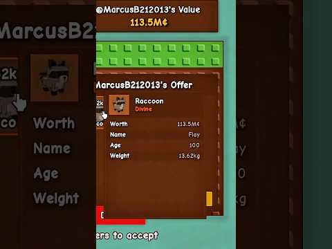 I GOT A 13.5KG RACCOON WITH TWO MEGA OP PETS👀 #growagarden #gag #roblox