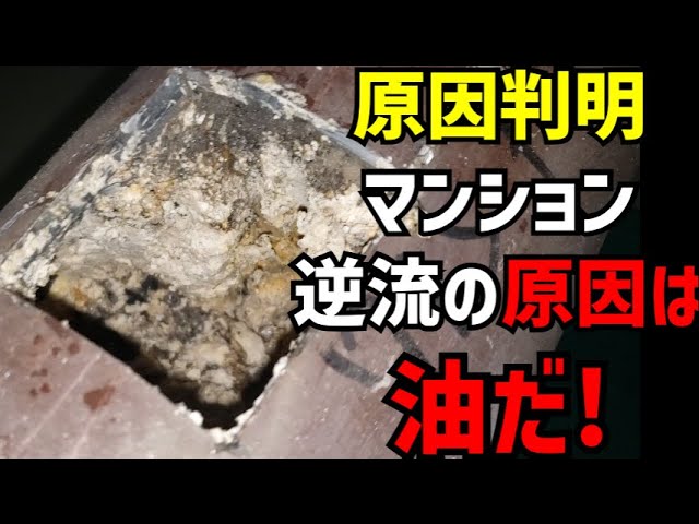 【油つまり】これじゃ流れないだよねぇ　管を開口して高圧洗浄作業