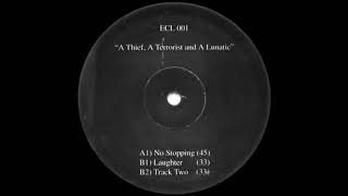 A Thief,  a Terrorist & Lunatic - Track Two