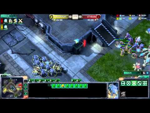 NASL Season 2 - W5 D3 - Kiwikaki vs Socke