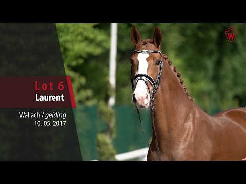 06 Laurent Wallach v. Libertad - Benicio