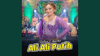 Download lagu Ali Ali Putih mp3 Download lagu Ali Ali Putih mp3