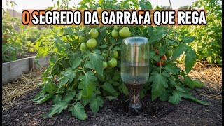 The Old-Fashioned Bottle System That Waters Itself for Days — No Drip Irrigator and No Electricit...