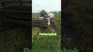 Download lagu SABAR TARAE PARINE YO RUBOH mp3