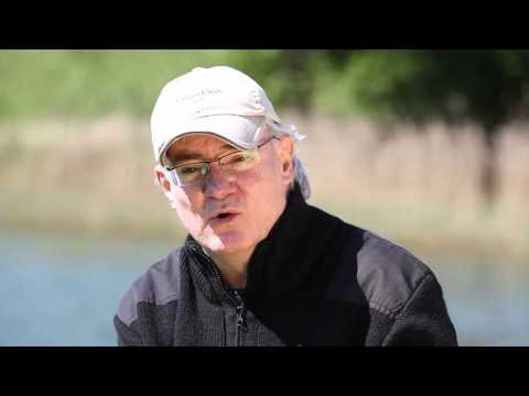 Rick Laine ist für ein Schweizer Delphin-Importverbot