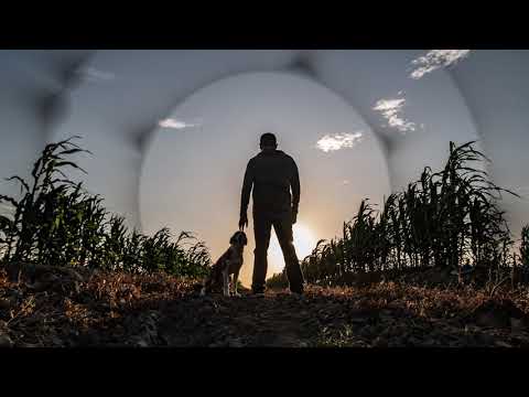 DVTCH NORRIS - Seeking Closure (Ft. Yann Gaudeuille)