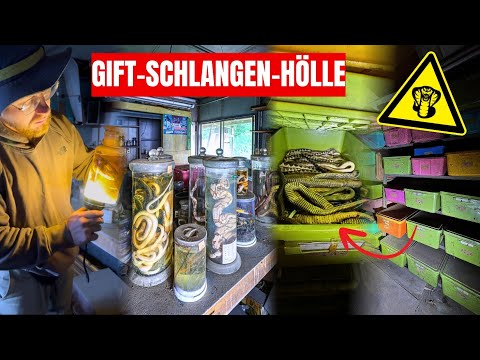LOST PLACE // Abandoned POISONOUS SNAKE LAB in Japan 🐍 – what we found here is UNBELIEVABLE! 😱