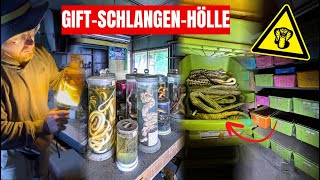 LOSTPLACE // Verlassenes GIFTSCHLANGEN-LABOR in Japan 🐍 – was wir hier fanden, ist UNFASSBAR!😱