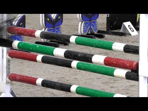 Открытый Кубок ГБУ “СШ “Битца” Москомспорта по троеборью в помещении