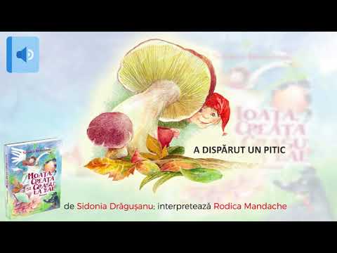 A dispărut un pitic - de Sidonia Drăgușanu - poveste audio