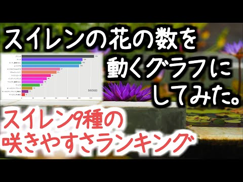 庭のスイレン 植物