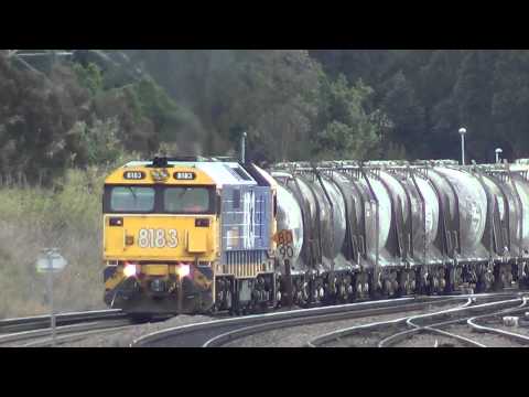 PACIFIC NATIONAL 81 CLASS