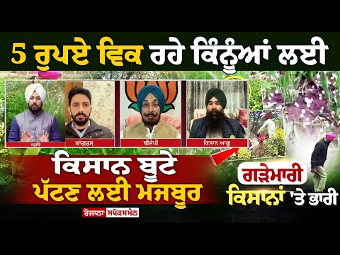 5 ਰੁਪਏ ਵਿਕ ਰਹੇ ਕਿੰਨੂੰਆਂ ਲਈ Kisan ਬੂਟੇ ਪੱਟਣ ਲਈ ਮਜਬੂਰ, ਪਹਿਲਾਂ ਹੜ੍ਹਾਂ ਤੇ ਹੁਣ ਗੜਿਆਂ ਨੇ ਡੋਬੇ Kisan