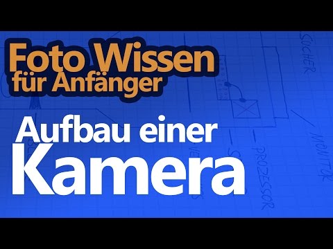 Das Volksmittel von atopitscheskogo der Hautentzündung auf dem Körper Wetom die Behandlung der Schuppenflechte