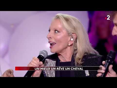 V. Sanson, A. Souchon, -M-, M. Jonasz, L. Voulzy "Foule Sentimentale" (2019)