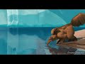 Ice Age The Meltdown Blowing Bubbles Scene