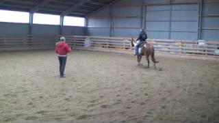 preview picture of video 'Manuela Witt clinic marts 2010'