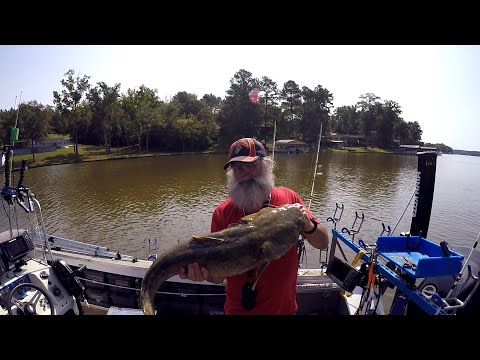 Pre pre-fall Transition Catfish Tips to help you catch more and bigger fish