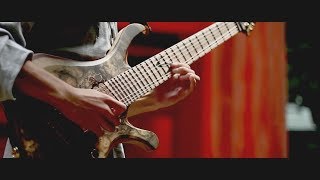 Periphery - Pale Aura: Mark Guitar cover by Ruina / Skervesen Swan7