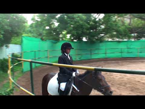 9 IQ IDDL 2017   IND SZ   ECB 2   Iniya   Chocolate